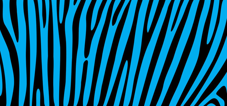 Cartoon blue safari zebra, line pattern. Zebra print, animal skin, tiger stripes sign. Africa, animal texture wave. jungle patroon.
