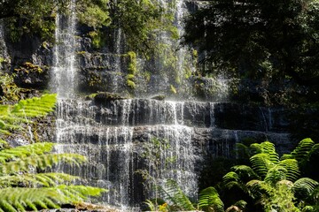 tourist hiking in a national park, taking a photo and looking at a waterfall in a forest in...