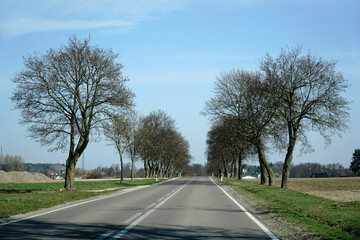 Fototapeta premium Asphalt road in countryside - driver's perspective