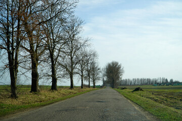Fototapeta na wymiar Asphalt road in countryside - driver's perspective