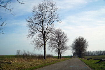 Obraz premium Asphalt road in countryside - driver's perspective