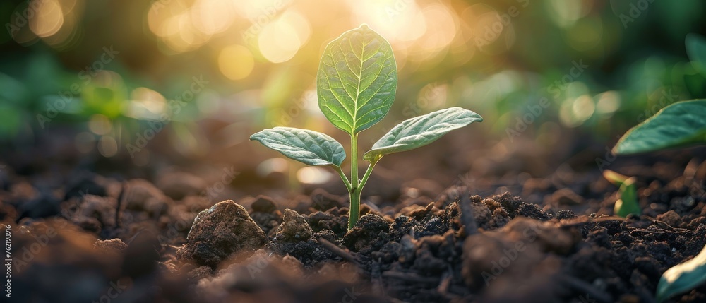 Poster goals for sustainable development. sdgs. environmental technology...