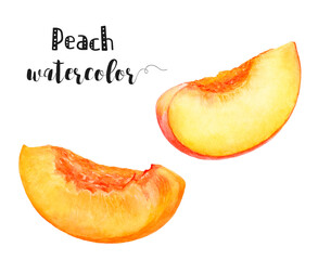 Watercolor illustration of peach fruit slice close up. Design template for packaging, menu, postcards. PNG