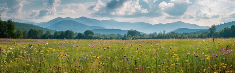 A painting depicting a vibrant meadow with lush green grass and colorful wildflowers, set against a backdrop of majestic mountains. The scene captures the contrast between the serene valley and the ru - obrazy, fototapety, plakaty