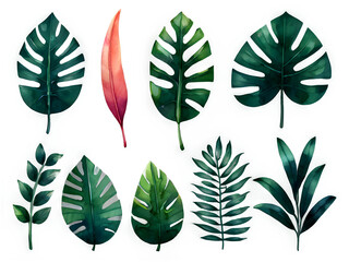 Watercolor tropical floral illustration set with green leaves . Decorative elements template. Flat cartoon illustration isolated.Ai generative