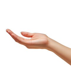 Hand of a woman hold some tiny or thin object isolated on transparent background With clipping path. cut out. 3d render
