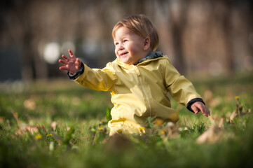 Happy cute and laughing baby boy having fun sitting on grass in sunshine day. Joy and happiness...