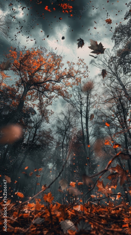 Poster a forest with trees and leaves falling. the trees are tall and spread out, giving the impression of 
