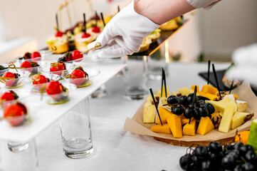 white-gloved hand serving gourmet appetizers at an event. The appetizers include cheese, grapes, and cherry tomatoes elegantly arranged on trays. The scene exudes sophistication and culinary delight.