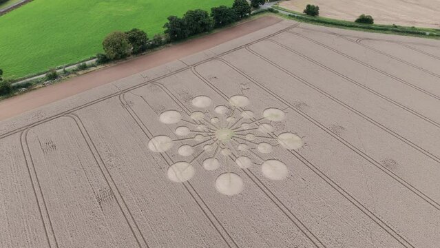 Andover crop circle aerial view circling above golden wheat field molecular starburst pattern