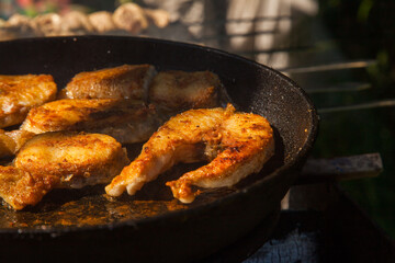 Pan frying or home cooking fish on the fire.