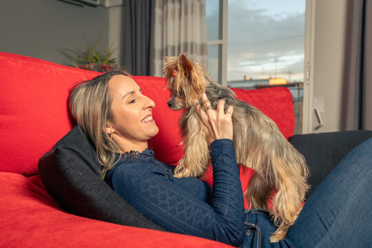 mujer rubia sonrriente y feliz jugando con su perro yorkshire en el sosa de casa 