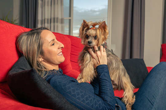 mujer rubia sonrriente y feliz jugando con su perro yorkshire en el sosa de casa 