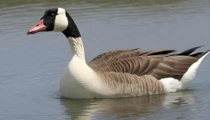 A Goose With Its Head Bobbing Up And Down
