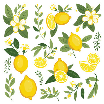 Lemon Theme Clipart clipart isolated on white background