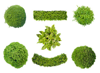 Obraz premium set of plants in top view isolated png on transparent background for garden and landscape architecture