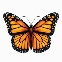 Monarch Butterfly Clipart clipart isolated on white background