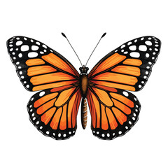 Monarch Butterfly Clipart clipart isolated on white background