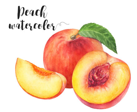 Watercolor illustration of peach fruit composition close up. Design template for packaging, menu, postcards.