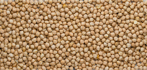 Dry Organic Chickpea beans. Heap of raw fresh chick-peas. Legumes background.