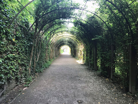 tunnel in the park