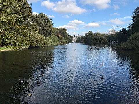 lake and trees