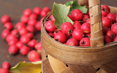 Berries for traditional medicine. Ripe hawthorn in a basket on a wooden background
