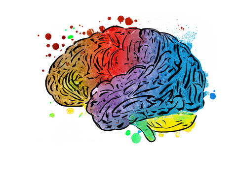 dessin d'un cerveau avec de nombreuses couleurs et taches de peinture