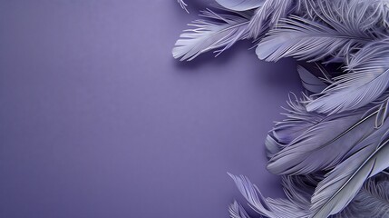 Feathers on a purple background, suitable for design with copy space, Mardi Gras celebration.