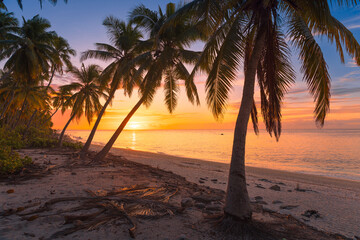 Sunrise or sunset at tropical beach with palm trees and quiet ocean in Maldives