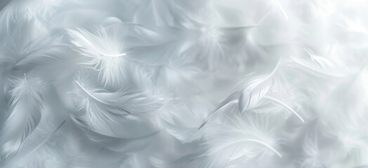 Obraz premium Delicate close-up of soft white feathers creating a dreamy, ethereal texture.