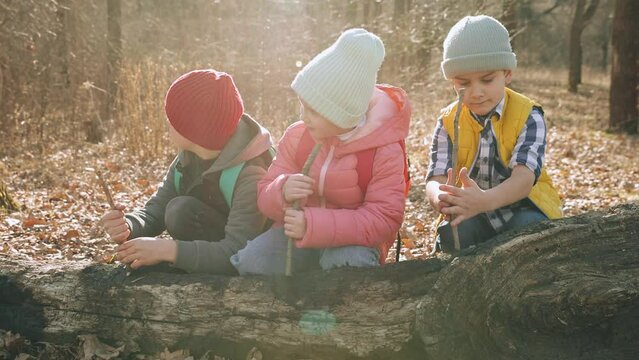 Children sitting on log and spinning branch to make fire. Warm autumn day hiking in forest. Exploring nature. Leisure activity, childhood, friendship, active lifestyle, fun concept