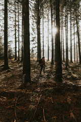 Person walking in the woods with trees and sun coming trough the forest
