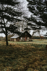 Fototapeta na wymiar Old wooden cabin in the woods between trees