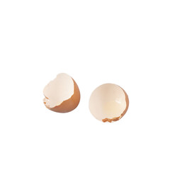 Egg shells