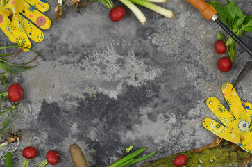 Frame of vegetables from garden, garden tools, flat lay, empty space to fill in with content in a middle. 