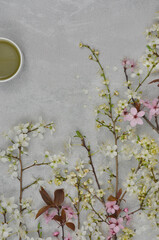 Cherry blossom on a grey background, texture, sakura, japanese style texture or wallpaper.