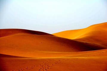 Fototapeta na wymiar Jaisalmer Desert