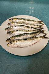 Half a dozen appetizing raw and fresh sardines from the Atlantic Ocean, on a plate. Purchased at the market and from a recently arrived ship. Fishing industry. Healthy and quality foods.