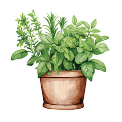 Potted Green Herbs Clipart