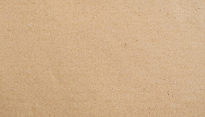 Fototapeta na wymiar Plain brown eco paper texture in scrap canvas backdrop photo concept for letter craft design package box background. Pattern back of smooth parchment rice recycle surface and earth tone.