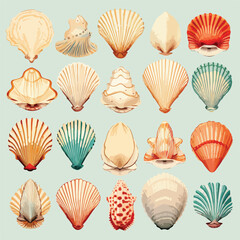 Sea Shells Clipart clipart isolated on white background