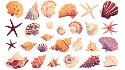 Beautiful sea shells flat vector isolated on white background