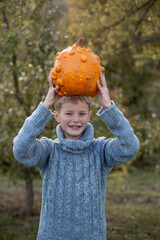 Boy in a knitted blue sweater is holding in his hands ugly orange pumpkins. Deformed orange pumpkins with a damaged, ugly skin. Thanksgiving, harvest, halloween concept. 