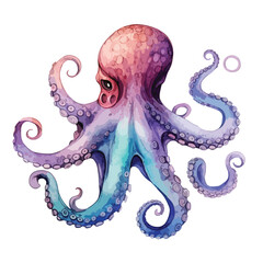 Water Color Octopus clipart isolated on white background