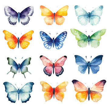 Watercolor Butterflies Clipart 