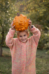 Happy smilling child girl in a knitted sweater is holding in hands ugly orange pumpkin. Deformed orange pumpkin with a damaged, ugly skin. Thanksgiving, harvest, halloween concept. - 762250137