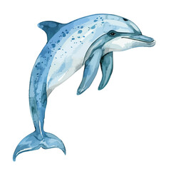 Watercolor Dolphin clipart isolated on white background