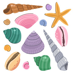 Set of various seashells. Shell collection. Cartoon vector illustration.
