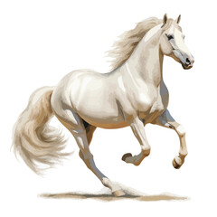 Obraz na płótnie Canvas White Horse clipart